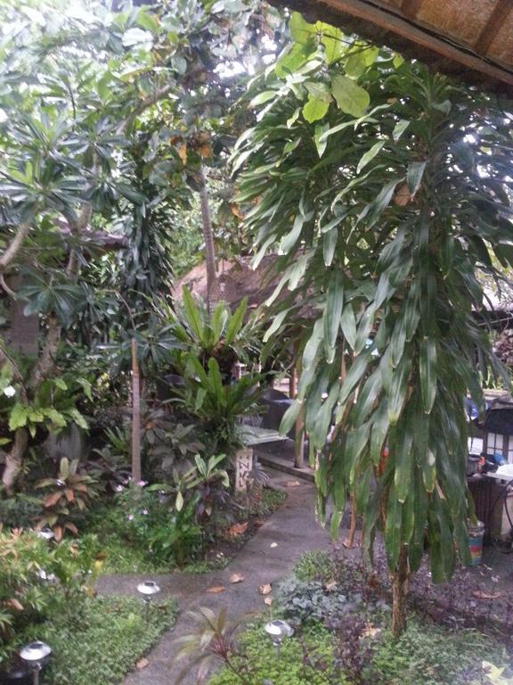 Wisma tamu Beach Villas