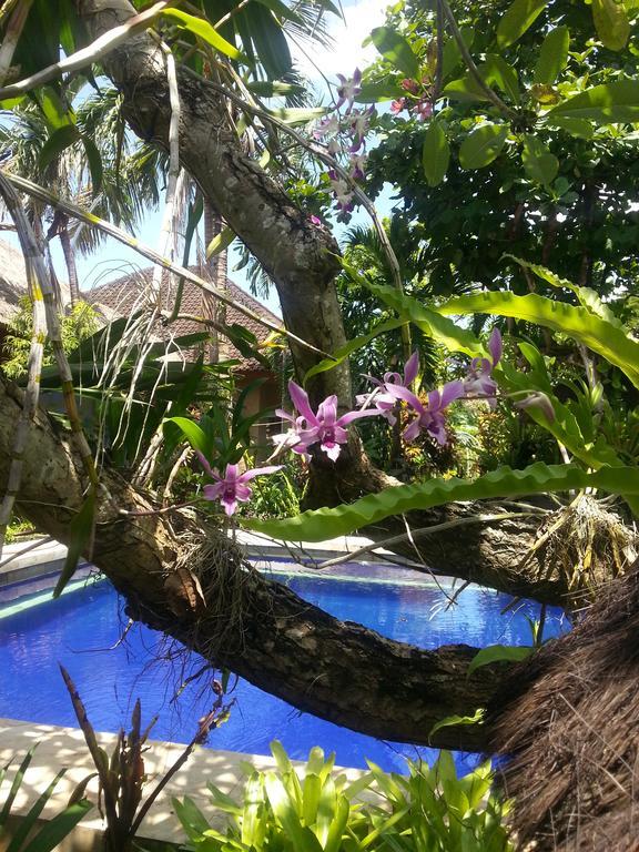 Beach Villas Wisma tamu