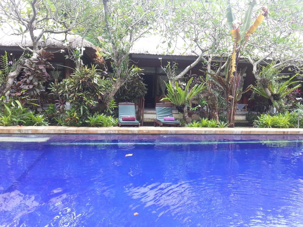Beach Villas Wisma tamu