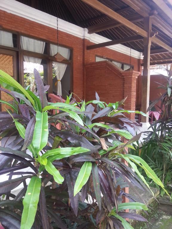 Wisma tamu Beach Villas